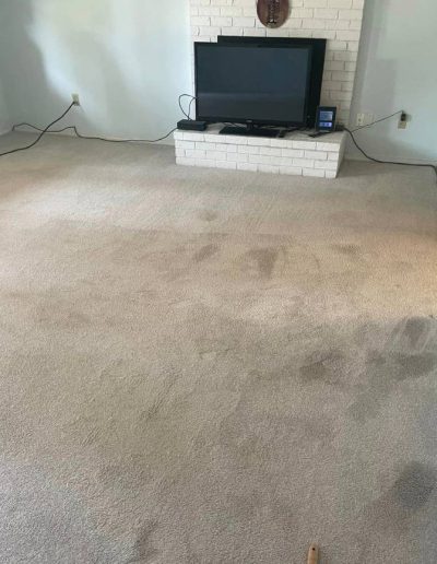 carpet cleaning before _1 (1)