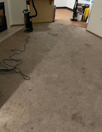 carpet cleaning before _5
