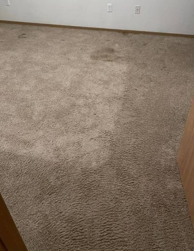 carpet cleaning before _6