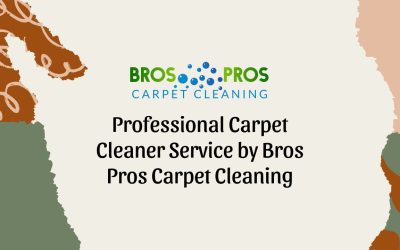 Professional Carpet Cleaner Service by Bros Pros Carpet Cleaning