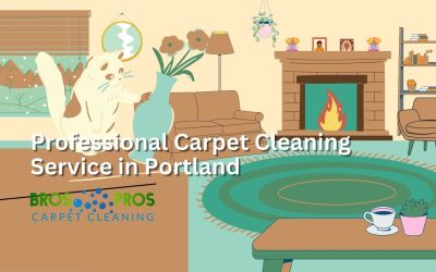 Professional Carpet Cleaning Service in Portland – Bros Pros Carpet Cleaning