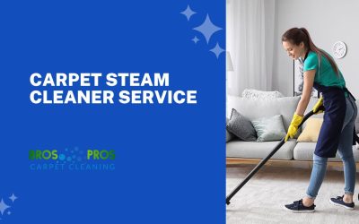Carpet Steam Cleaner Service: Bros Pros Carpet Cleaning