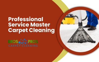 Professional Service Master Carpet Cleaning by Bros Pros Carpet Cleaning