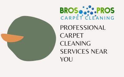 Carpet Cleaner Service Near Me : Bros Pros Carpet Cleaning