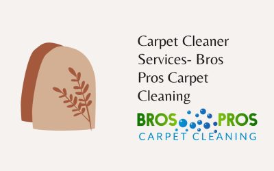 Carpet Cleaner Services – Bros Pros Carpet Cleaning