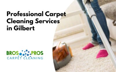 Professional Carpet Cleaning Service Gilbert