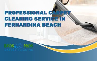 Professional Carpet Cleaning Service in Fernandina Beach, FL – Bros Pros Carpet Cleaning