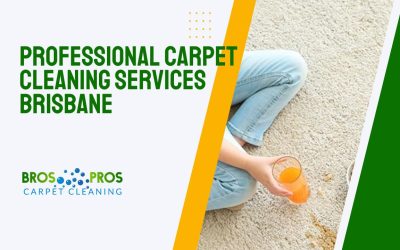 Professional Carpet Cleaning Services Brisbane – Bros Pros Carpet Cleaning