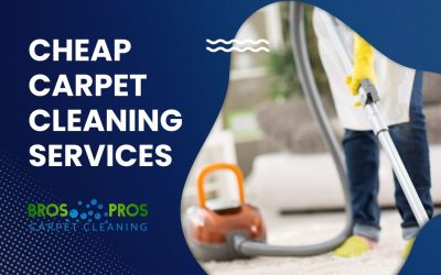 Cheap Carpet Cleaning Services for Your Home or Business