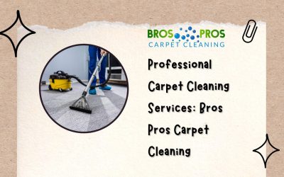 Professional Carpet Cleaning Services : Bros Pros Carpet Cleaning